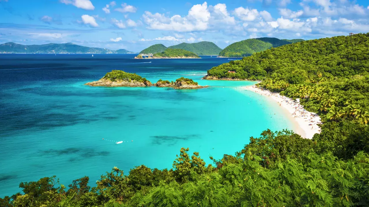 Caribbean coastline with a blue sky and lush forests