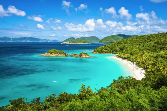 Caribbean coastline with a blue sky and lush forests