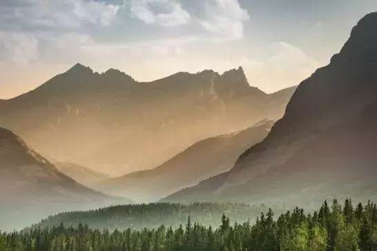 Alberta wilderness near Banff 