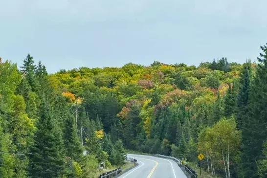 Highway through Algonquin Provincial Park, Ontario,