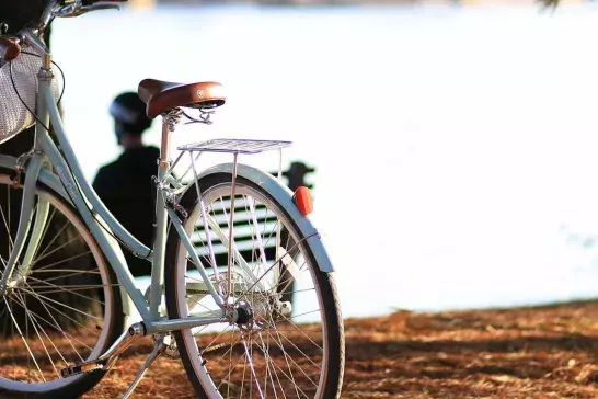 Bike at Mooney's Bay