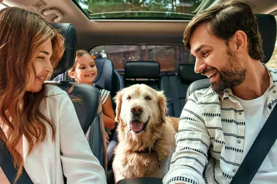 family in a car with their dog