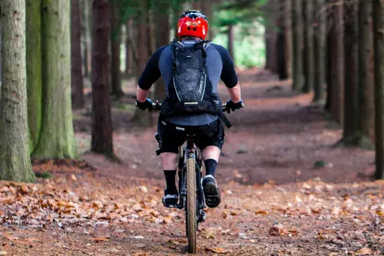 Man rides through the forest in Ontario.