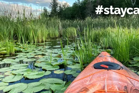 Kayaking through lily pads