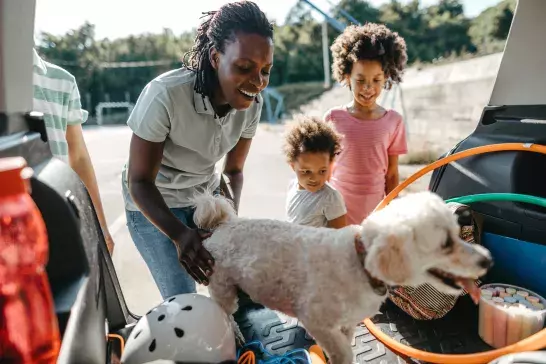 A woman and three children are happily looking at a fluffy white dog in the trunk of a car. The trunk is filled with various items including a hula hoop and sports equipment. It appears to be a bright, sunny day, and they are outdoors.