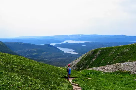 female hiker climbing near the summit of Gros Morne Mountain, in Gros Morne National Park, Newfoundland and Labrador, Canada.  A gorgeous green valley of mountains and lakes are behind her.