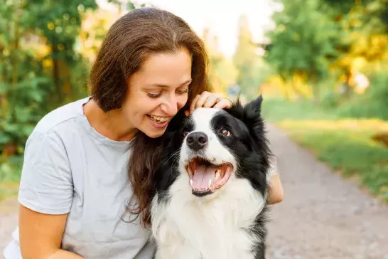 Smiling woman playing with cute puppy dog border collie on summer outdoor background. Girl holding embracing hugging dog friend. Pet care and animals concept