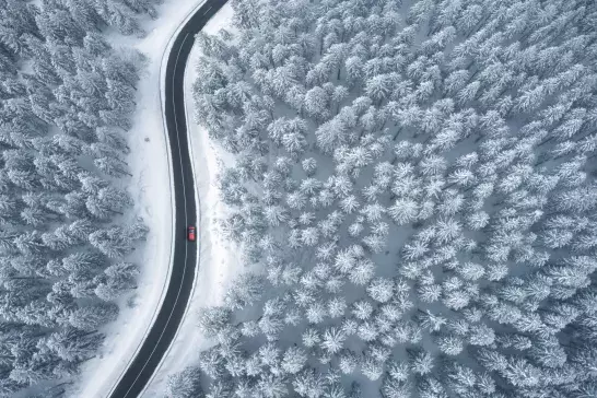 Driving In Snowcapped Forest