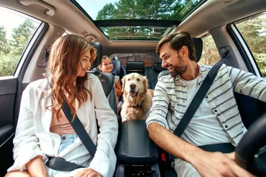 Family with dog in the car