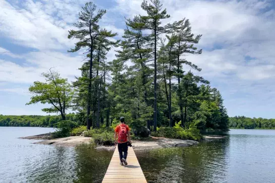 Hardy Lake Provincial Park at Highway 169 in Muskoka Lakes, Torrance, Canada