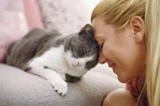 Woman pet owner cuddling with cat