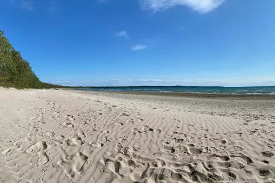 Sandy footprints, Sandbanks Provincial Park