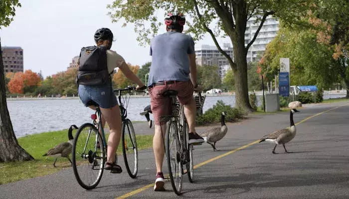 Biking on path