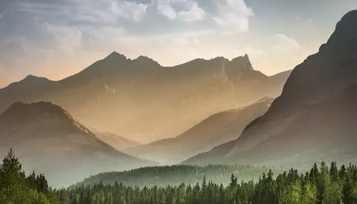 Alberta wilderness near Banff 