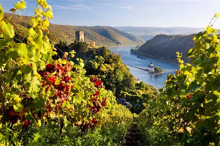 The Rhine RIver