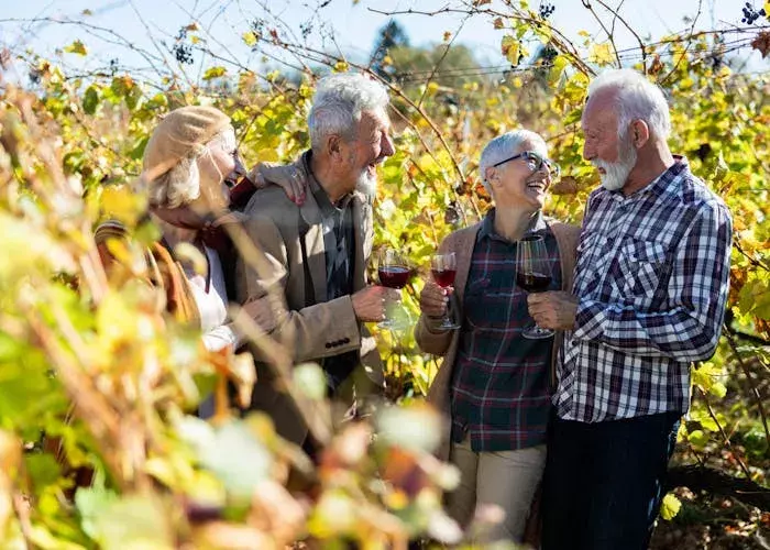 Group of friends laughing at a vineyard