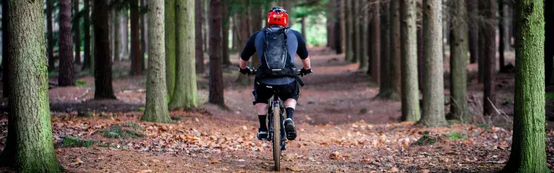 Man rides through the forest in Ontario.