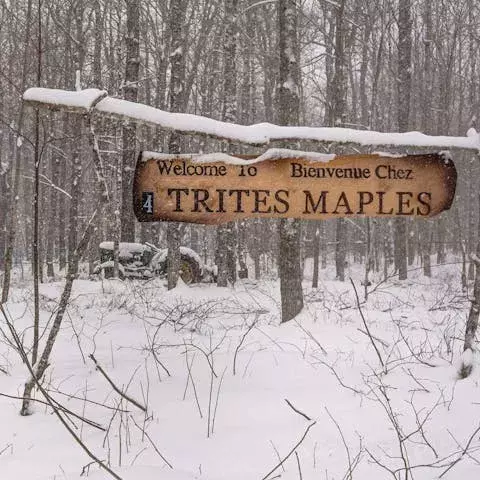 Trites Maples Sugar Bush in Stilesville, New Brunswick