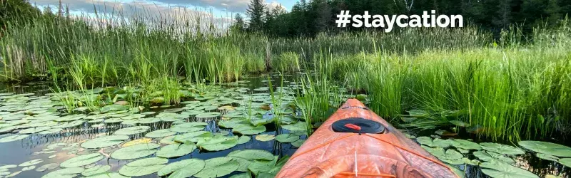 Kayaking through lily pads