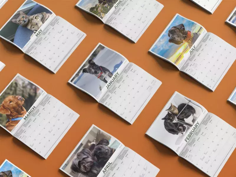 CAA pet calendar