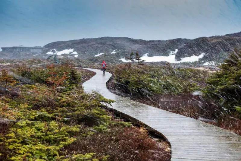 The trail in Snowing