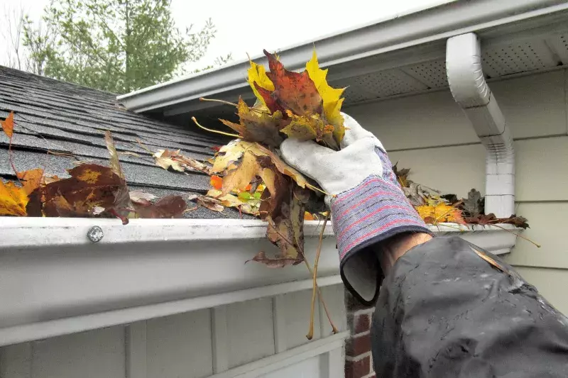 Clearing Autumn Leaves from Gutters "