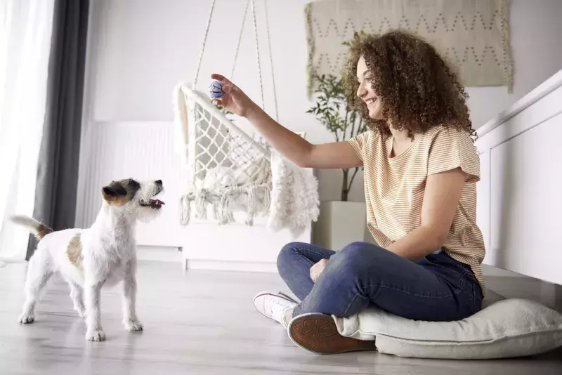 Happy girl playing with her dog at home