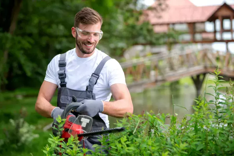 trimming with electrically powered chain saw