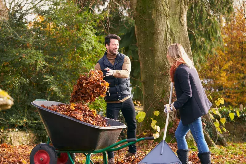 fall gardening