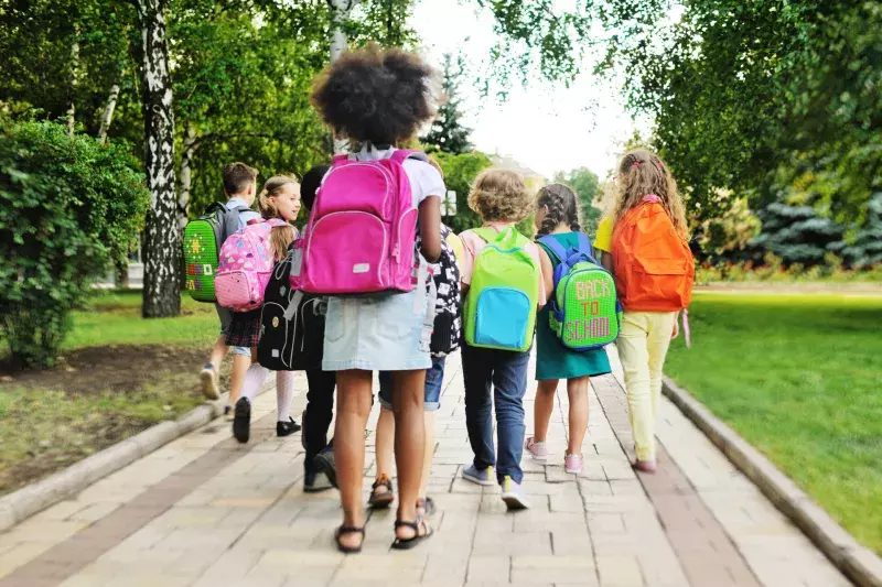 group of school children with school bags and backpacks go to school, view from the back. Concept back to school, education, September 1, knowledge day