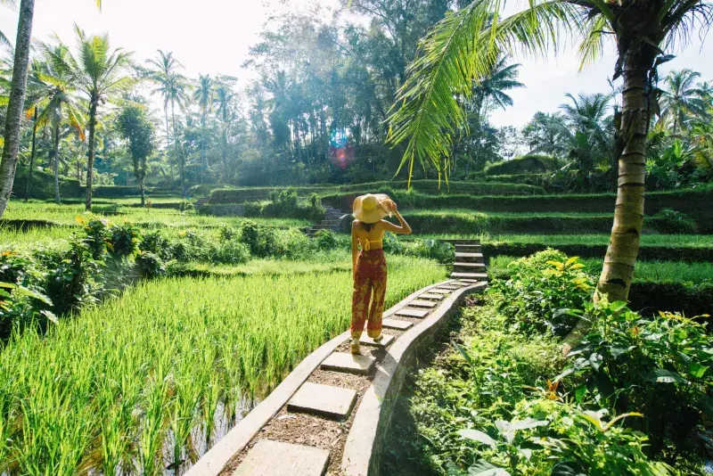 Woman at Tegalalang rice terrace in Bali