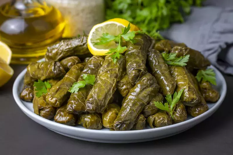 Delicious dolma (sarma) stuffed grape leaves rice. Lebanese dolma sarma on plate. Lebanon turkish greek middle eastern cuisine. (Turkish name; Yaprak sarma)