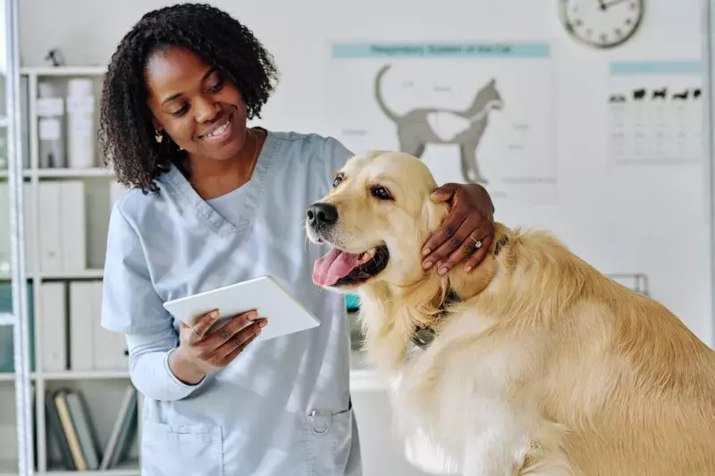 Young vet using tablet pc at her work