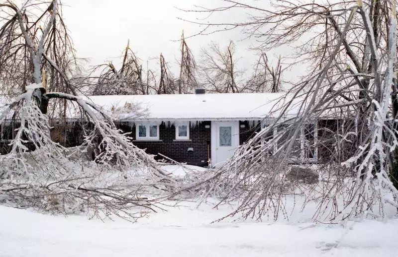 Nature, " 1998 Ice Storm, Quebec"