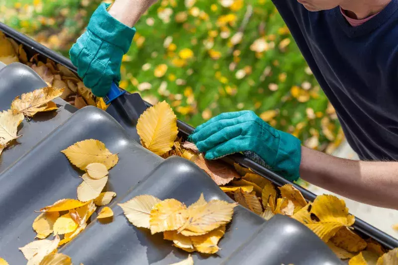 Man cleaning the gutter