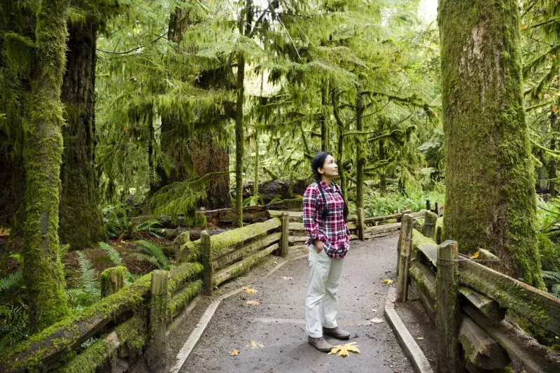 Cathedral Grove Vancouver Island